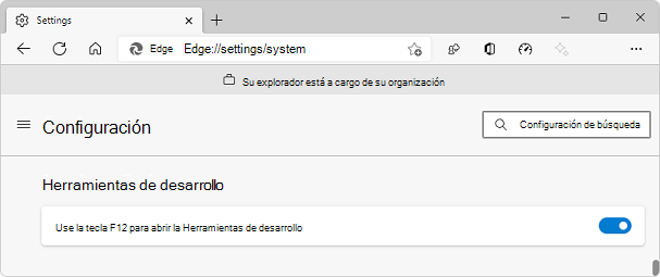 La página Configuración perimetral, con la sección Herramientas de desarrollo y el botón de alternancia para deshabilitar la tecla F12