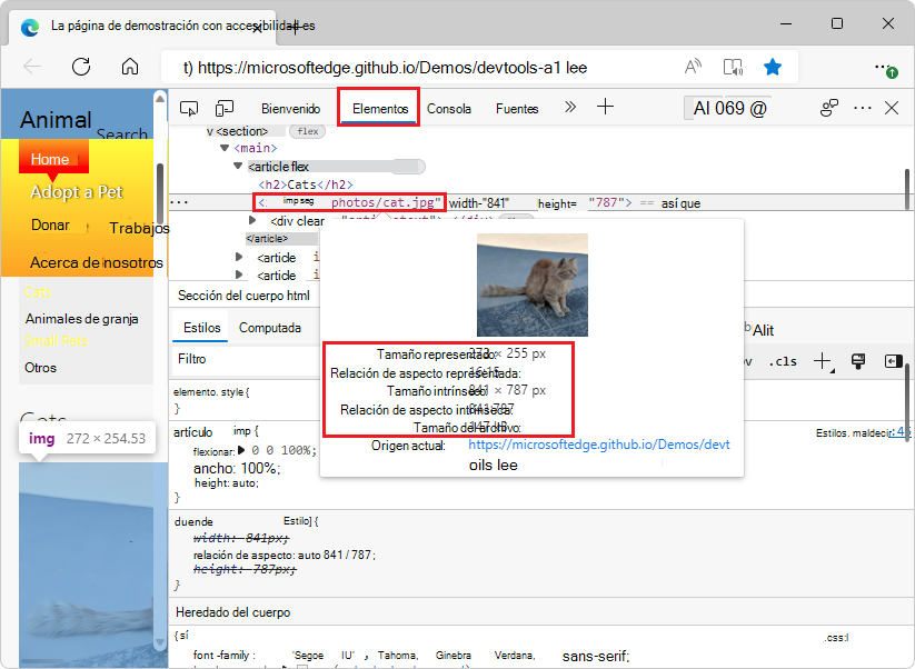 Vista previa de la imagen con información de relación de aspecto en la herramienta Element