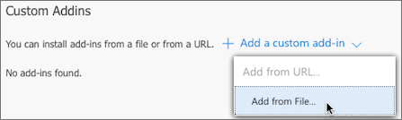 La opción Agregar desde archivo está seleccionada en la sección Complementos personalizados.