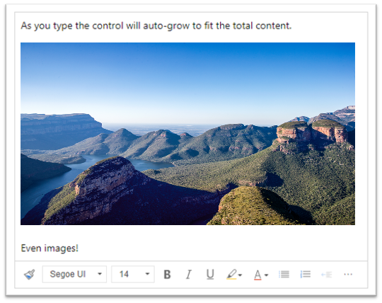Captura de pantalla que ilustra que escribir en el área de texto enriquecido o pegar una imagen aumentará para ajustarse al contenido.