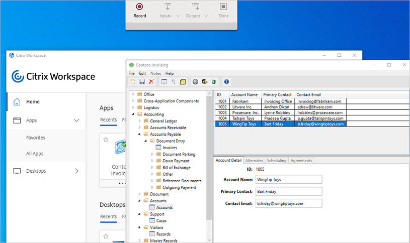 Vista de la aplicación Citrix