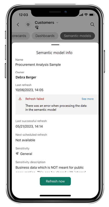 Screenshot of semantic model info page in the Power BI mobile app.