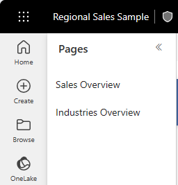 Screenshot shows the unhidden report pages under Pages.