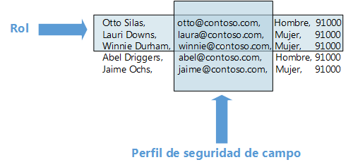 Comparación de seguridad basado en roles con seguridad de nivel de campo