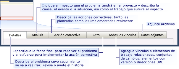 Formulario de elemento de trabajo Problema de CMMI: pestañas