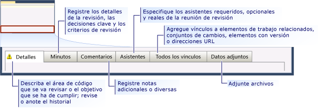 Formulario de elemento de trabajo Revisión de CMMI: pestañas