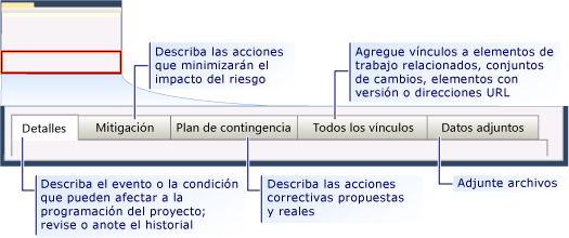 Formulario de elemento de trabajo Riesgo de CMMI: pestañas