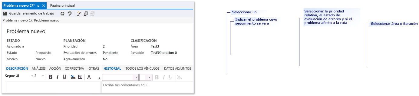 CMMI Issue work item form