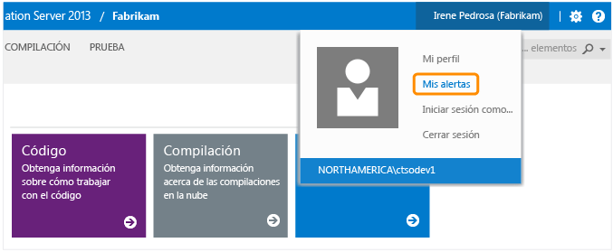 Administrar alertas individuales en Team Web Access