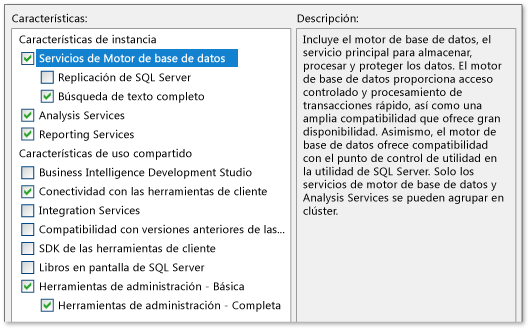 Instalar SQL Server 2008 R2: características