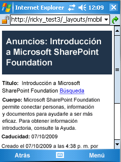 Formulario personalizado de presentación de elementos de dispositivos móviles