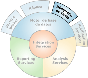 Componentes que interconectan con Búsqueda de texto