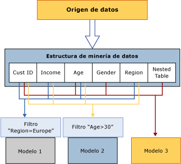 Procesamiento de datos: origen de la estructura del modelo.