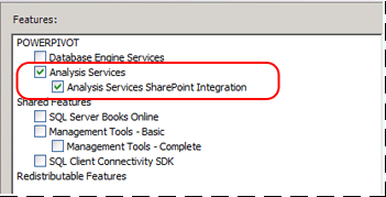 Árbol de características con Analysis Services seleccionado