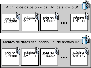 Números de página flujoles en dos archivos de datos