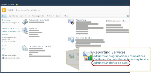 Sección Reporting Services de la página Configuración del sitio