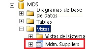SQL Server Management Studio - Vista mdm.Suppliers