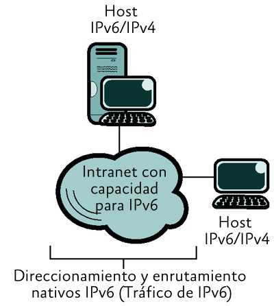 Figura 3 Intranet con capacidad para IPv6