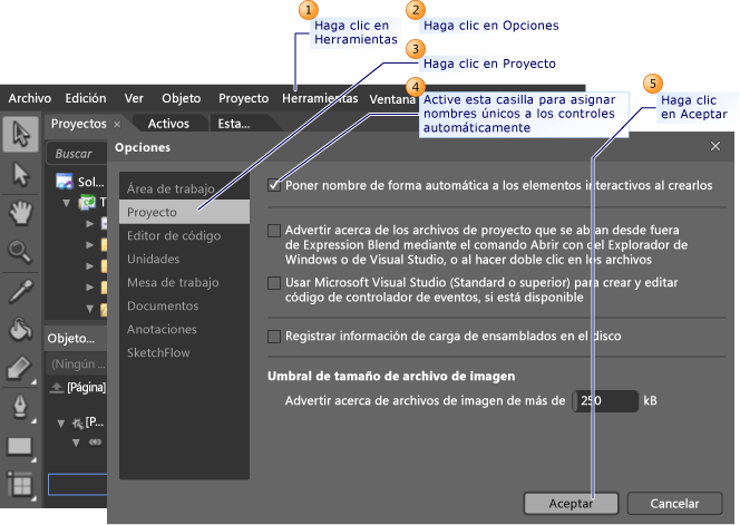 Asignar nombres únicos con Expression Blend