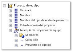 Dimensión Proyecto de equipo