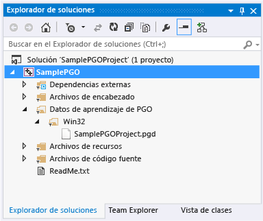 Archivo de datos de PGO en el Explorador de soluciones