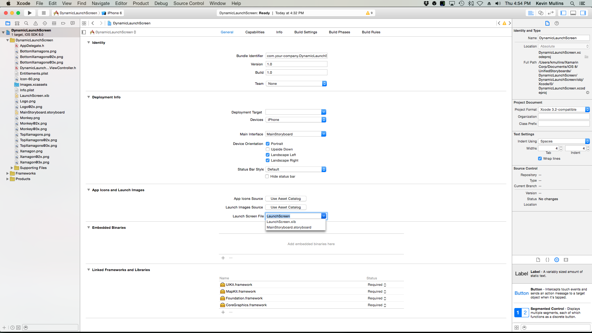 Elija el LaunchScreen.xib