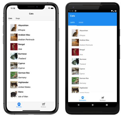 Captura de pantalla de una aplicación de dos páginas de Shell con pestañas inferior y superior, en iOS y Android