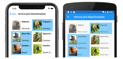 Captura de pantalla de un diseño de cuadrícula vertical CollectionView, en iOS y Android