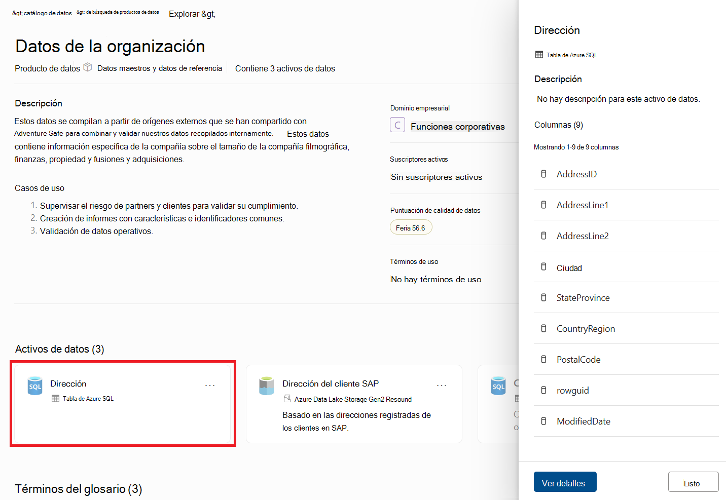 Screenshot of the data asset details pane within a data product.