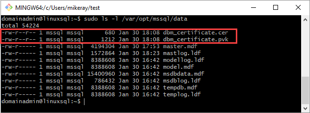 Captura de pantalla de una ventana de Git Bash en la que se muestran los archivos .cer y .pvk en la carpeta /var/opt/mssql/data.