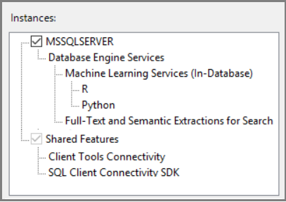 Captura de pantalla en la que se muestra un resumen de las características instaladas.