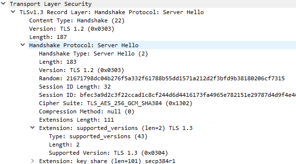 Captura de pantalla de la sección de extensión de TLS.