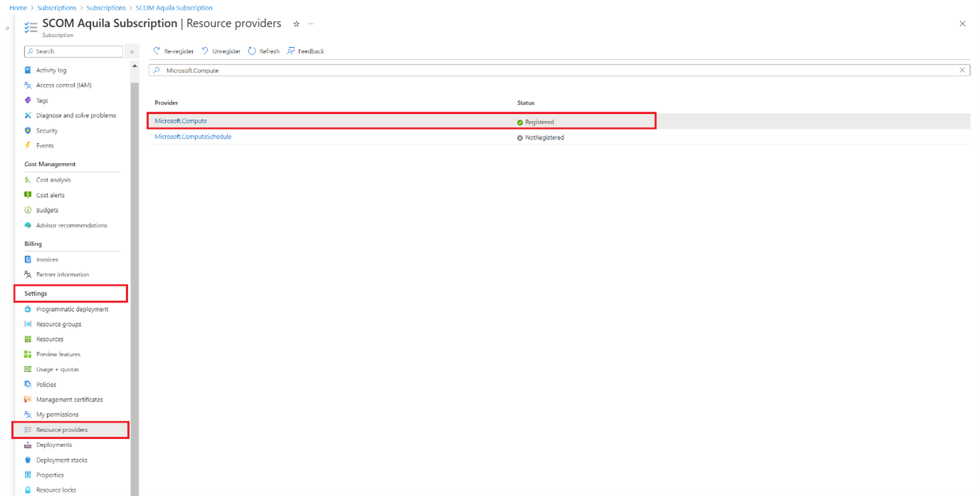 Captura de pantalla que muestra el proveedor de proceso de Microsoft.