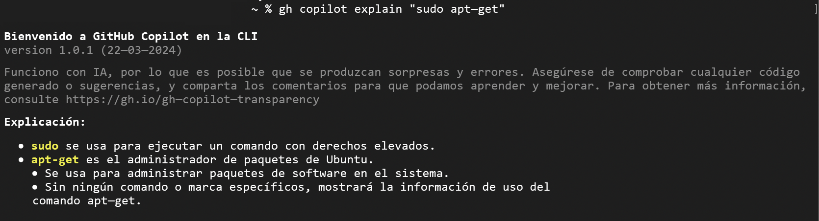 Captura de pantalla de la CLI de Copilot que explica un comando en modo interactivo.