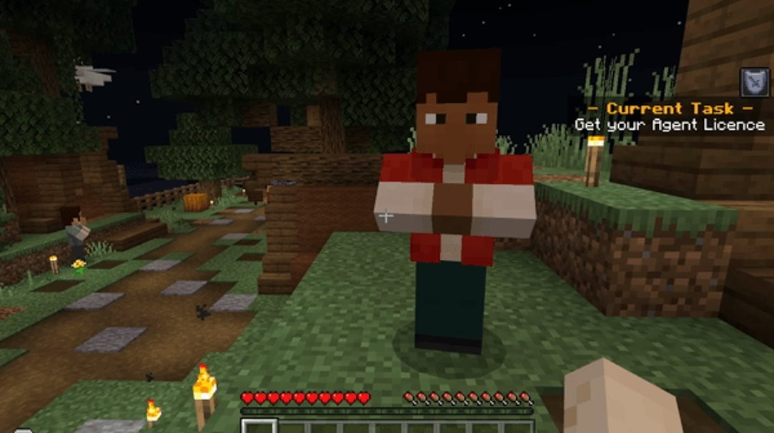 Screenshot of the Agent license coding task in Python Island 1.