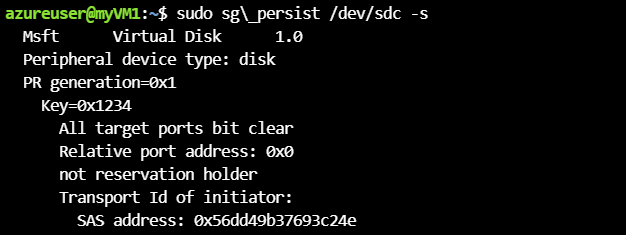 Screenshot of disk status with V M 1 registration.