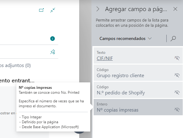 Captura de pantalla del panel de agregar campo a página