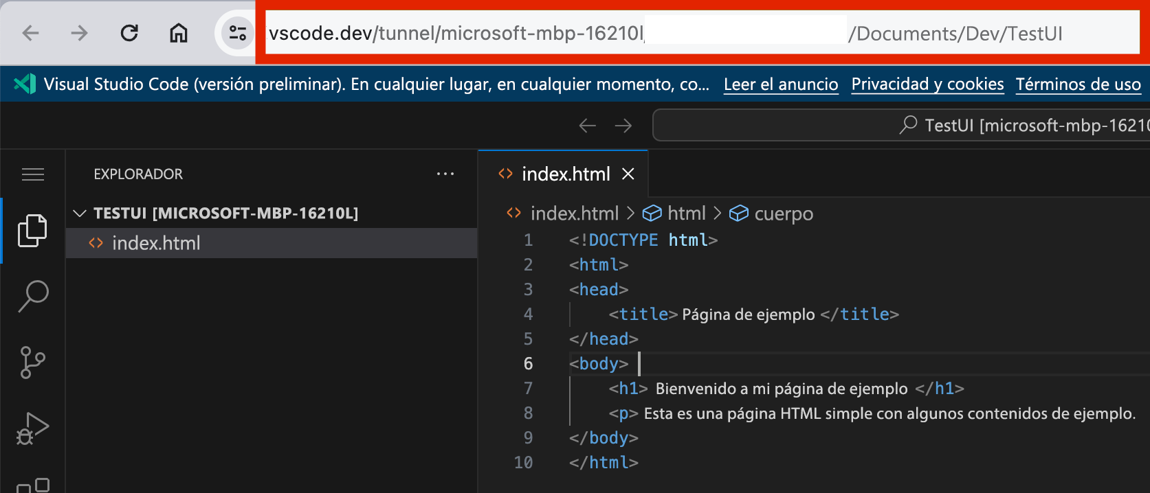 Captura de pantalla de la vista de cliente.