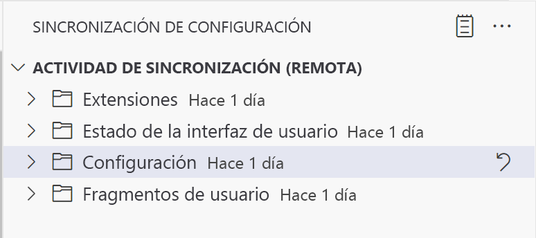 Captura de pantalla de la vista de actividad de sincronización de configuraciones en Visual Studio Code.