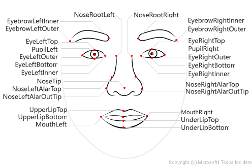 Imagen de puntos de referencia faciales que muestra datos sobre las características de la cara
