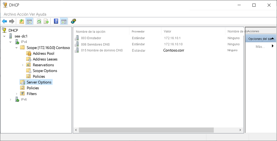 A screenshot of the DHCP console. The administrator has selected the Server Options node in the navigation pane. Three options are displayed: 003, 006, and 015.