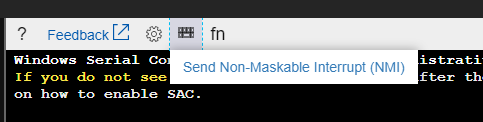Captura de pantalla del botón Enviar interrupción no enmascarable (NMI) en la barra de comandos.
