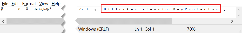 Captura de pantalla de un archivo de texto abierto en el Bloc de notas, con las palabras Protector de clave de extensión bitlocker resaltado.