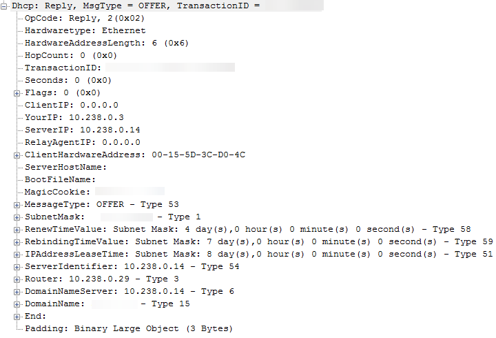 Captura de pantalla que muestra DHCP sin el nombre del servidor ni la información del archivo de arranque.