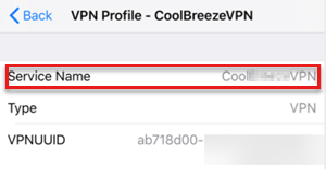 Captura de pantalla que muestra el nombre del servicio del perfil de VPN en Perfil de administración.