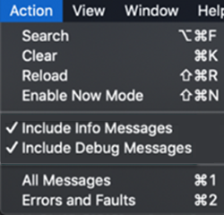 Captura de pantalla de las opciones Incluir mensajes de información e Incluir mensajes de depuración en la aplicación de consola de iOS/iPadOS.
