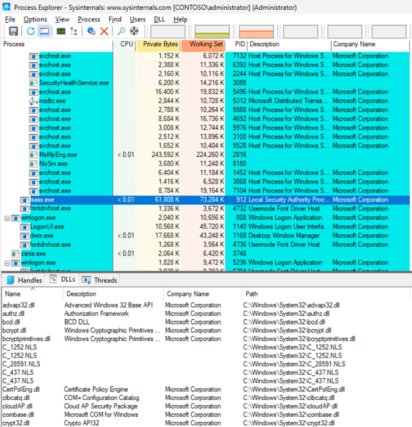 Captura de pantalla del Explorador de procesos con archivos DLL o módulos cargados.