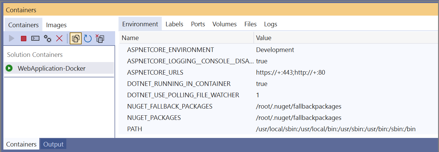 Captura de pantalla de la ventana Contenedores en Visual Studio con un contenedor seleccionado en el panel izquierdo y la pestaña Entorno seleccionada en el panel derecho.