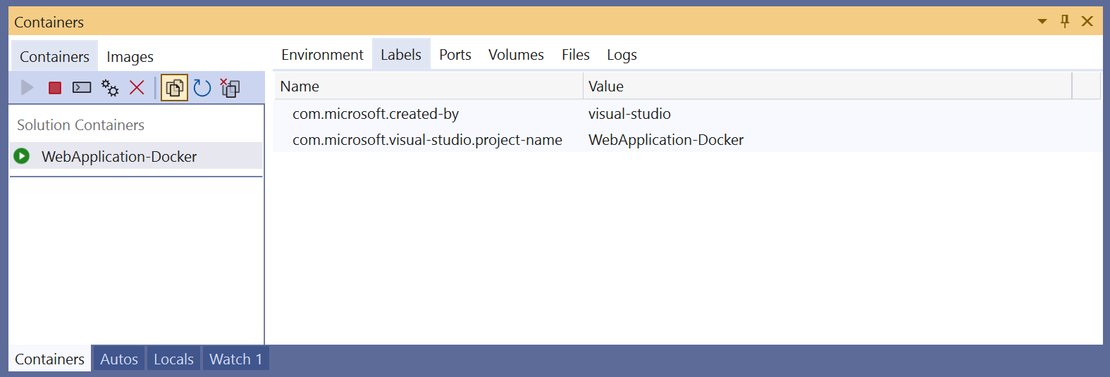 Captura de pantalla de la ventana Contenedores en Visual Studio en la que se muestra la pestaña Etiquetas.
