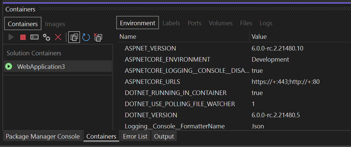 Captura de pantalla de la ventana Contenedores en Visual Studio con un contenedor seleccionado en el panel izquierdo y la pestaña Entorno seleccionada en el panel derecho.